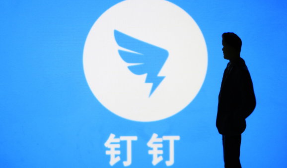 钉钉如何开启视频镜像 钉钉开启视频镜像步骤一览