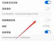 钉钉如何开启视频镜像 钉钉开启视频镜像步骤一览