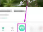 形色怎么上传图片识别 形色APP上传相册图片识别植物方法分享