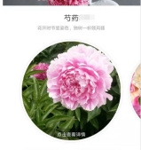 形色怎么上传图片识别 形色APP上传相册图片识别植物方法分享