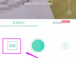 形色怎么上传图片识别 形色APP上传相册图片识别植物方法分享