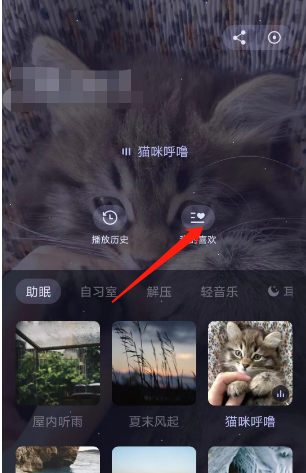 猫耳fm专注模式如何添加喜欢 猫耳fm专注模式设置喜欢方法一览