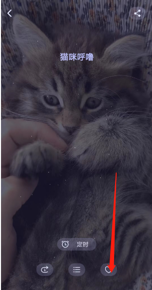 猫耳fm专注模式如何添加喜欢 猫耳fm专注模式设置喜欢方法一览