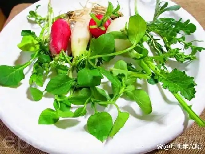 蚂蚁庄园2月3日答案2025 蚂蚁庄园2月3日答案是什么