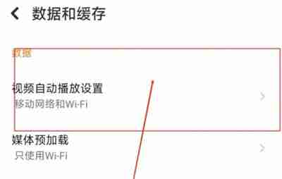 探探怎么关闭视频自动播放 探探关闭视频自动播放操作方法