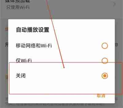 探探怎么关闭视频自动播放 探探关闭视频自动播放操作方法