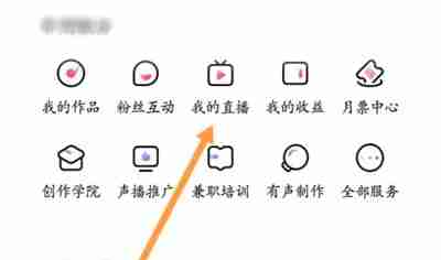 喜马拉雅怎么查看直播收益 喜马拉雅查看直播收益方法分享