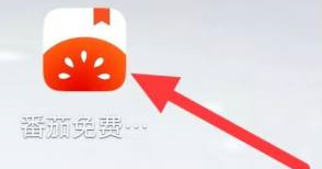 番茄小说怎么查看更多番茄自制 番茄小说查看更多番茄自制方法一览