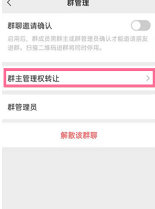 微信怎么转让群主管理权 微信怎么转群主操作分享