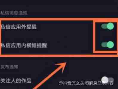 抖音在哪关闭聊天信息显示内容 抖音聊天信息显示内容关闭教程分享