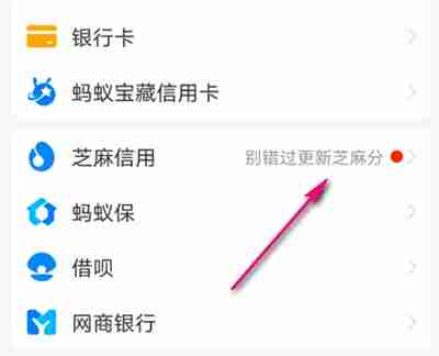支付宝如何申请芝麻签证报告 支付宝申请芝麻签证报告方法分享