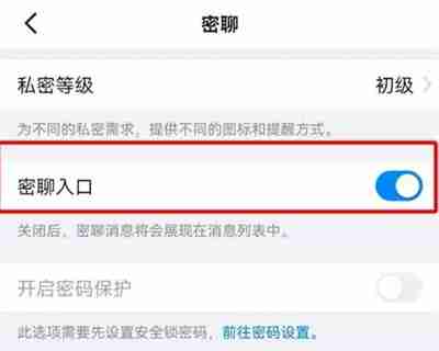 钉钉如何开启密聊 钉钉开启密聊方法一览