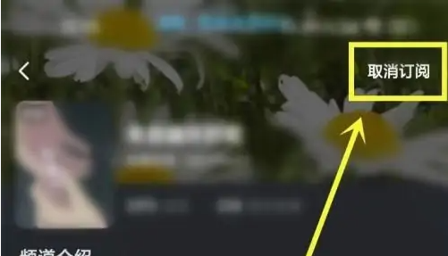 酷狗音乐概念版如何取消订阅频道 酷狗音乐概念版取消订阅频道教程一栏