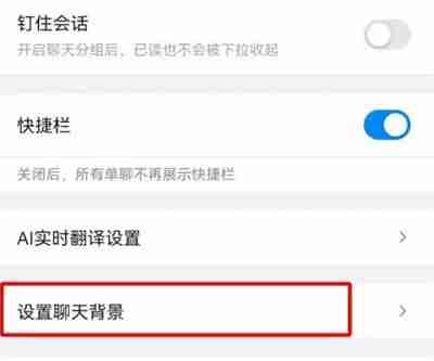 钉钉怎么设置聊天背景 钉钉设置聊天背景方法分享