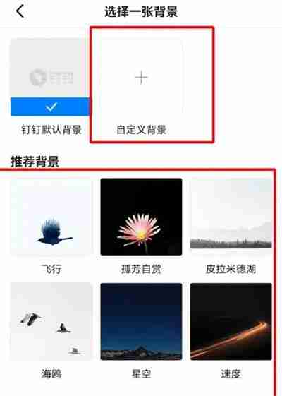 钉钉怎么设置聊天背景 钉钉设置聊天背景方法分享