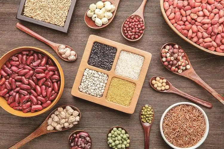 支付宝蚂蚁庄园2月5日答案2025 蚂蚁庄园2月5日答案是什么