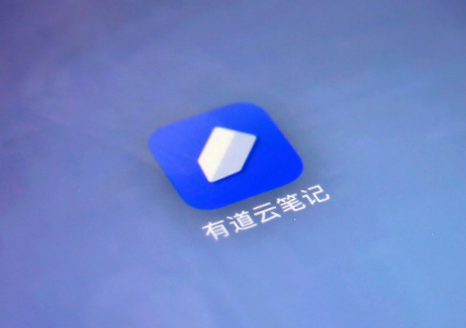 有道云笔记怎么统计字数 有道云笔记字数统计教程分享