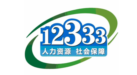 掌上12333社保缴费记录怎么查询 掌上12333查询社保记录步骤分享