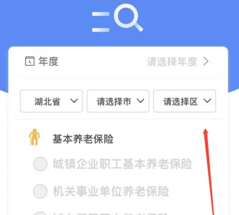 掌上12333怎么看社保个人权益记录 掌上12333查看社保个人权益记录操作一览