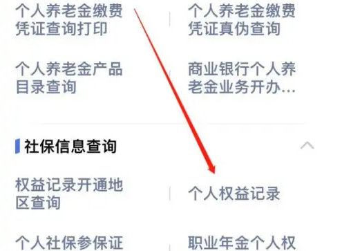 掌上12333怎么看社保个人权益记录 掌上12333查看社保个人权益记录操作一览