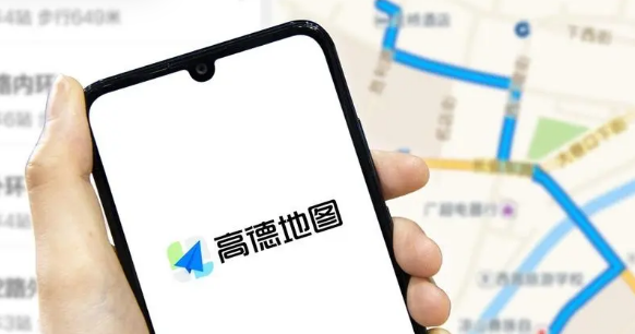 高德地图新手驾车模式怎么设置 高德地图新手驾车模式设置方法介绍