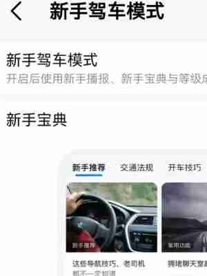 高德地图新手驾车模式怎么设置 高德地图新手驾车模式设置方法介绍