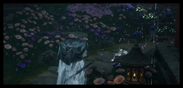 燕云十六声芳菲有情笺风信花在哪