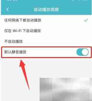 Taptap如何开启默认静音播放 Taptap开启默认静音播放的方法