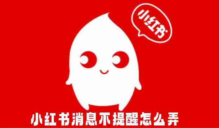 小红书消息不提醒怎么弄 小红书设置消息不提醒的方法