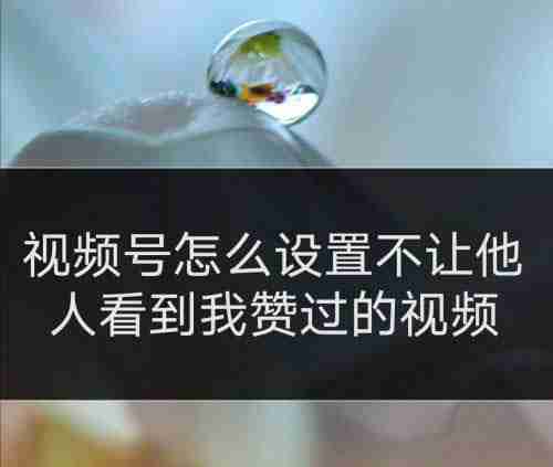 微信视频号如何不让好友看点赞视频 微信视频号不展示点赞视频方法分享