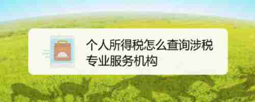 个人所得税如何查涉税专业服务机构 个人所得税查询涉税专业服务机构教程介绍