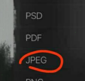 procreate怎么保存到相册 procreate作品添加到相册方法分享