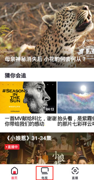 央视频在哪看卫视节目 央视频卫视直播收看步骤介绍