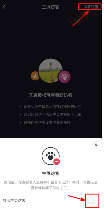 抖音主页访客记录能看到陌生人吗 抖音主页访问功能使用教程分享