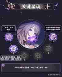 崩坏星穹铁道大黑塔如何全面培养 崩坏星穹铁道大黑塔全面培养攻略一图流