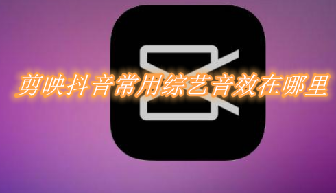 剪映抖音常用综艺音效在哪里 剪映常用综艺音效使用教程分享