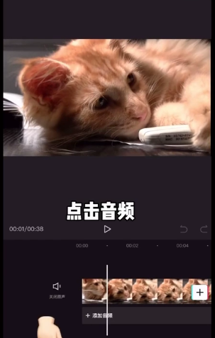 剪映抖音常用综艺音效在哪里 剪映常用综艺音效使用教程分享