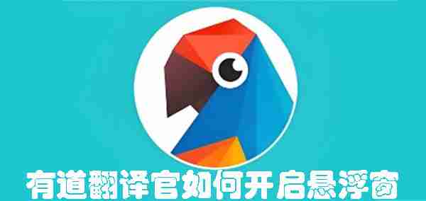 有道翻译官如何开启悬浮窗 有道翻译官开启悬浮窗的方法