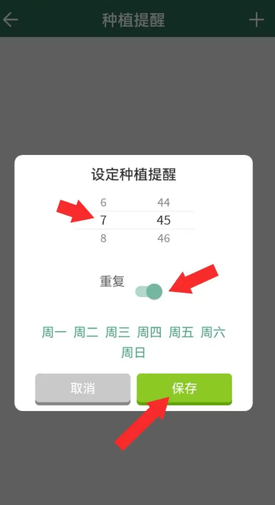 forest专注森林设置闹钟怎么操作 forest专注森林设置闹钟流程分享