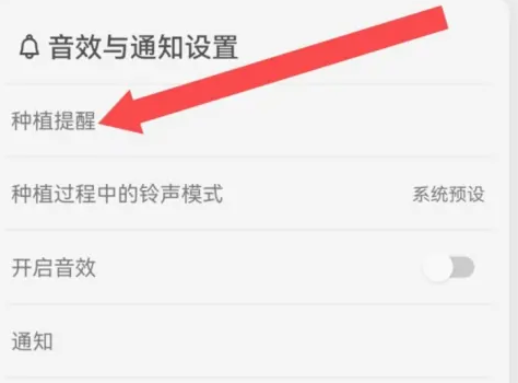 forest专注森林设置闹钟怎么操作 forest专注森林设置闹钟流程分享