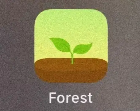 forest专注森林设置闹钟怎么操作 forest专注森林设置闹钟流程分享