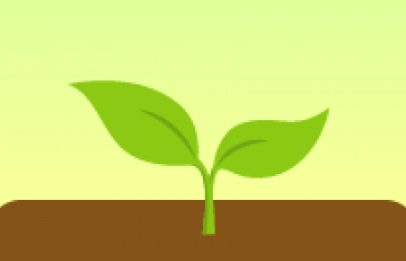 forest专注森林怎么保持荧幕开启 forest专注森林保持荧幕开启方法介绍