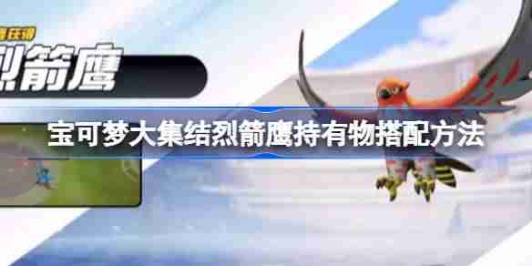 宝可梦大集结烈箭鹰持有物搭配方法 宝可梦大集结烈箭鹰持有物怎么搭配