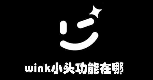 wink小头功能在哪 wink小头功能位置介绍