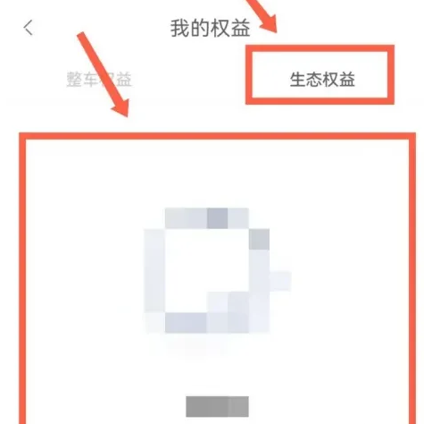 极氪怎么查看生态权益 极氪查看生态权益方法介绍