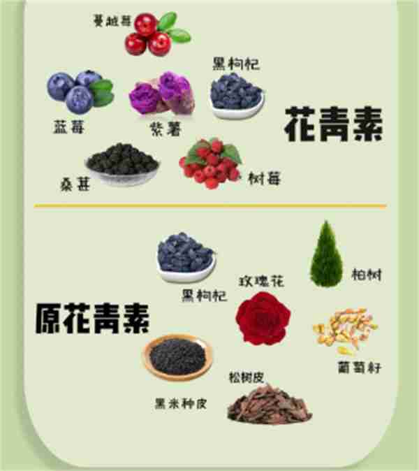 蚂蚁庄园2月10日今日答案2025