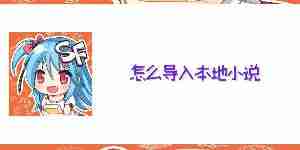 菠萝包轻小说怎么导入本地小说 菠萝包轻小说本地小说导入教程