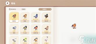 心动小镇如何获取鸟类资料卡 心动小镇鸟类资料卡获得方法