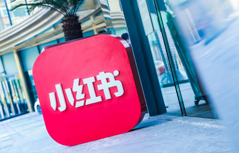 小红书在哪查看自己的笔记周报 小红书查看自己的笔记周报步骤一览