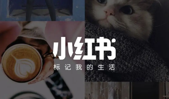 小红书怎么设置评论互动通知 小红书开启评论互动通知方法介绍